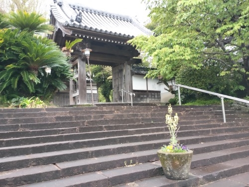 志布志を散歩|洋館の旧東郷医院と志布志銀座の美味しい焼き鳥屋さん