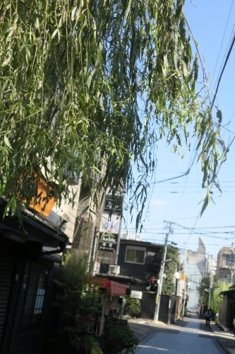 八王子を散歩|晴れた日に八王子花街散歩とユ-ミンの実家は呉服屋