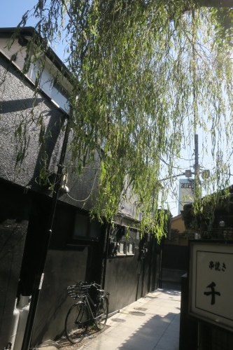 八王子を散歩|晴れた日に八王子花街散歩とユ-ミンの実家は呉服屋