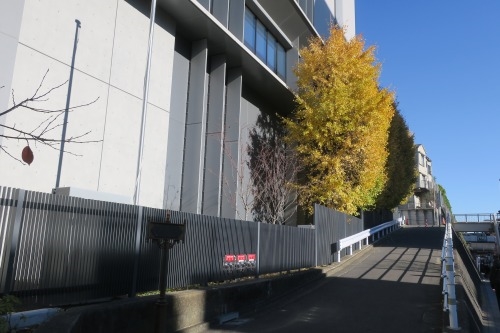 ひぐらし坂(西日暮里四丁目)ひぐらし坂にひぐらしはいるのか検証