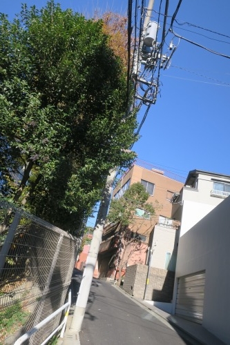 ひぐらし坂(西日暮里四丁目)ひぐらし坂にひぐらしはいるのか検証