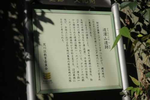 ひぐらし坂(西日暮里四丁目)ひぐらし坂にひぐらしはいるのか検証