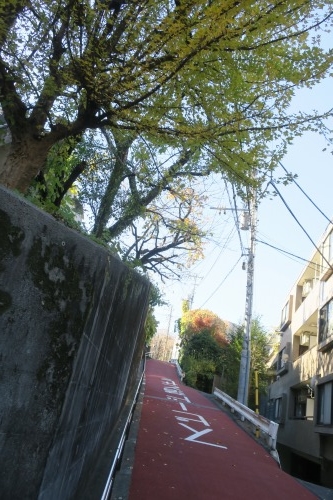 異人坂(文京区弥生2丁目)に異人が散歩しているのか検証してみた