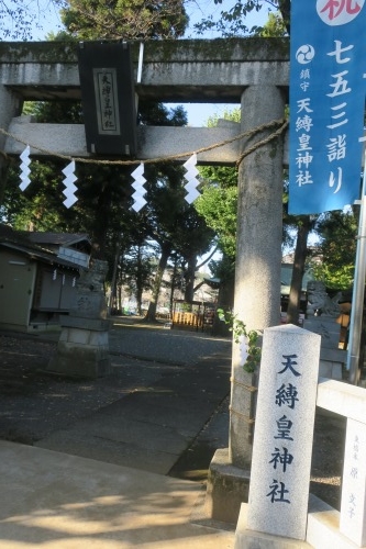 まつば坂を散歩|まつば坂の由来は「まつば」という地名にあるらしい