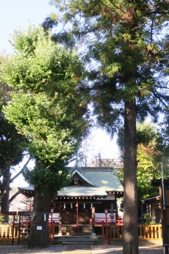 まつば坂を散歩|まつば坂の由来は「まつば」という地名にあるらしい
