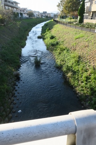 まつば坂を散歩|まつば坂の由来は「まつば」という地名にあるらしい