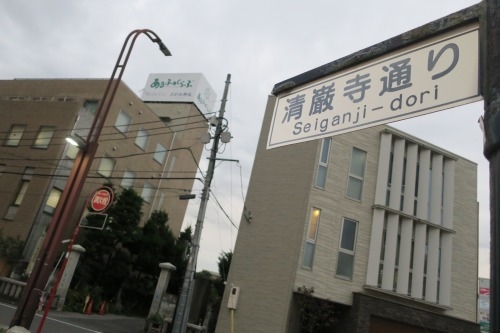 宇都宮を散歩|餃子通りを散歩しながらも宇都宮でおでんを食べたし