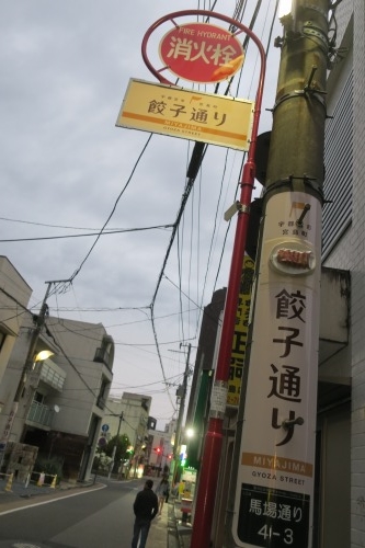 宇都宮を散歩|餃子通りを散歩しながらも宇都宮でおでんを食べたし