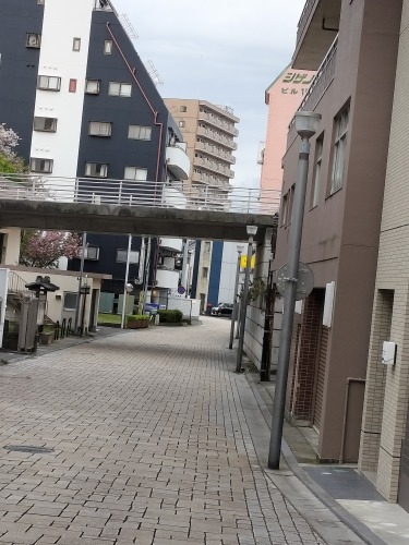 ÂUbC̏ÏhƎRqɍGrƐVX̎i