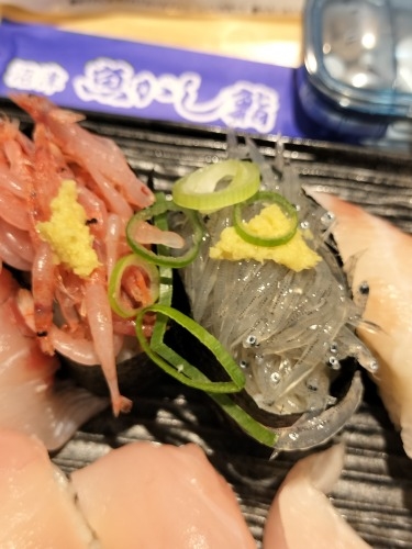 ÂUbC̏ÏhƎRqɍGrƐVX̎i