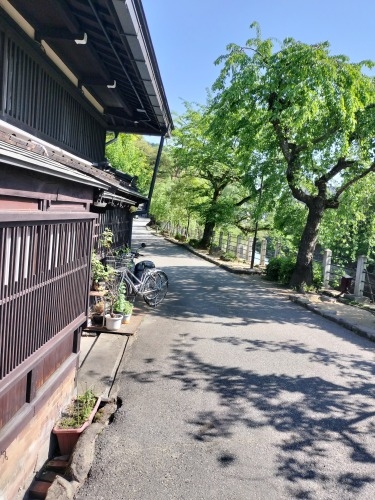 高山を散歩|金森長近の城下町高山の古い町並みを夕暮れに散歩はいい