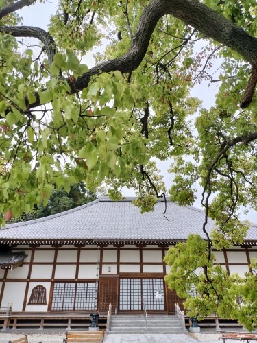 磐田を散歩|遠州見付宿と現存日本最古木造擬洋風校舎・見付小学校