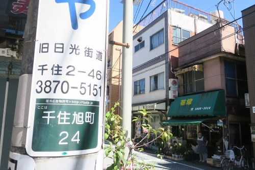 堀切を散歩|荒川の河川敷を金八を想いながら散歩してみたら金八だな
