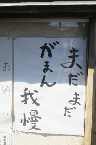 堀切を散歩|荒川の河川敷を金八を想いながら散歩してみたら金八だな
