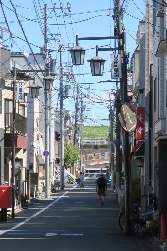 堀切を散歩|荒川の河川敷を金八を想いながら散歩してみたら金八だな