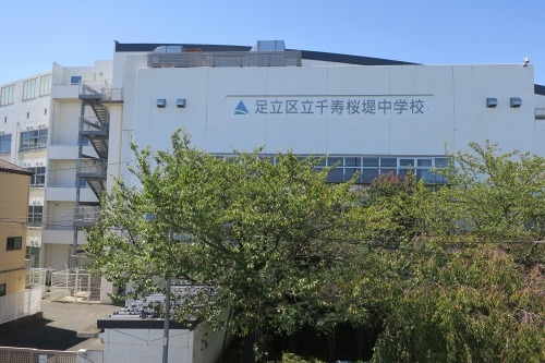 堀切を散歩|荒川の河川敷を金八を想いながら散歩してみたら金八だな