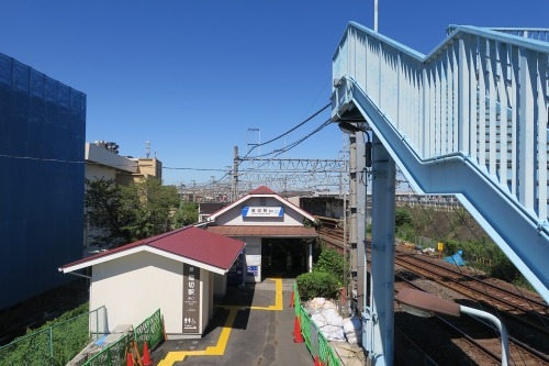 堀切を散歩|荒川の河川敷を金八を想いながら散歩してみたら金八だな