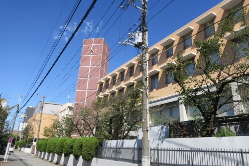 堀切を散歩|荒川の河川敷を金八を想いながら散歩してみたら金八だな