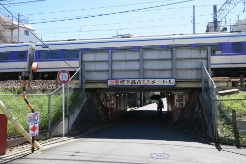 堀切を散歩|荒川の河川敷を金八を想いながら散歩してみたら金八だな