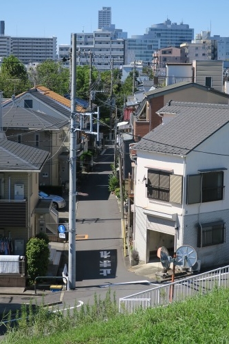 堀切を散歩|荒川の河川敷を金八を想いながら散歩してみたら金八だな