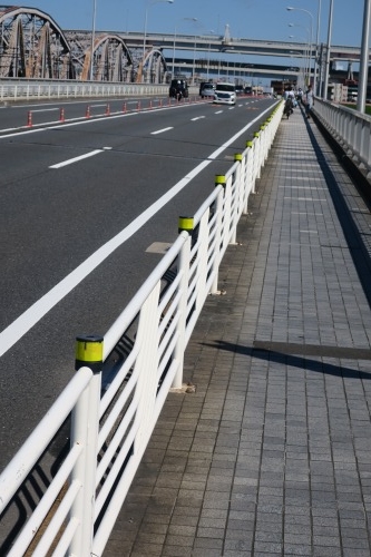 堀切を散歩|荒川の河川敷を金八を想いながら散歩してみたら金八だな