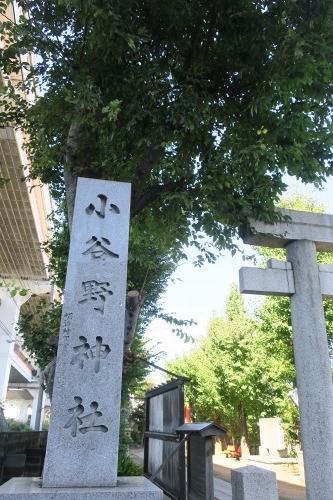堀切菖蒲園を散歩|京成堀切菖蒲園駅近くでラーメンをいただきました