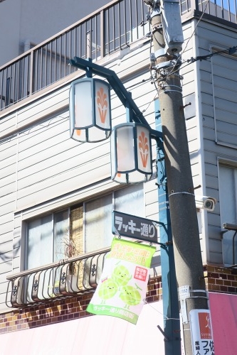 堀切菖蒲園を散歩|京成堀切菖蒲園駅近くでラーメンをいただきました