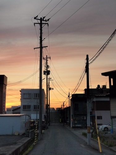 新庄を散歩|夕暮れの新庄を散歩してゴールデン街・焼き肉店で夕食