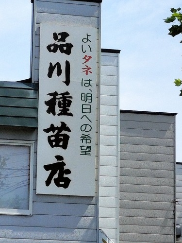 ●を散歩