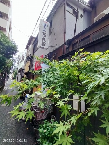 人形町|芸者新道から甘酒通りの街並散歩と日本の起点日本橋渡る散歩