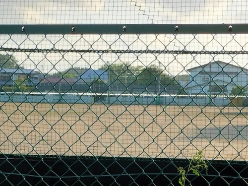 上北町を散歩|えび蔵のここでしか味わえない白魚と地元日本酒で楽し