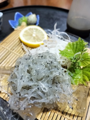 上北町を散歩|えび蔵のここでしか味わえない白魚と地元日本酒で楽し