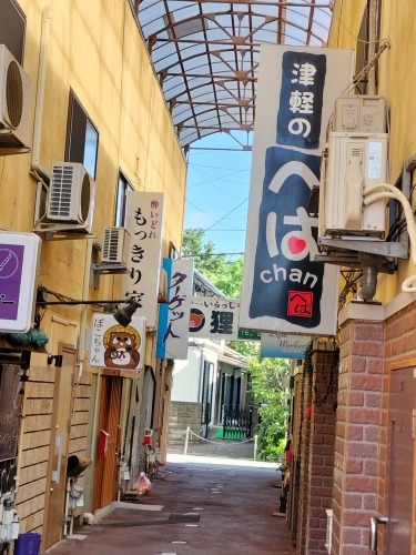 水沢を散歩|