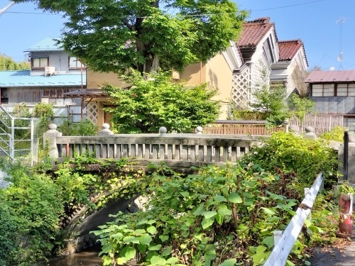 水沢を散歩|