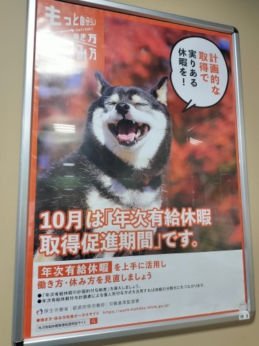 水沢を散歩|