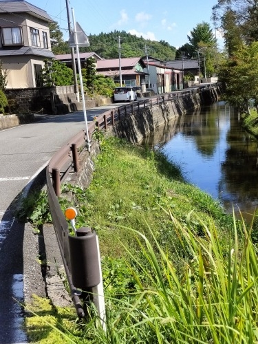 LǂUbBX̏h꒬ELǏhi{wj̍UĂ