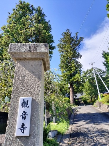 LǂUbBX̏h꒬ELǏhi{wj̍UĂ