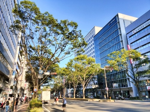 UbBX̏h꒬ł̍͂ǂȕiȂ