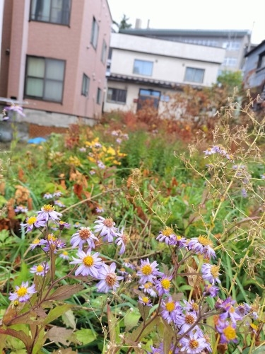 MDyUbH̒ōgtył݂J[X[v