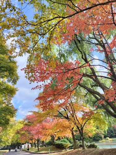 MDyUbH̒ōgtył݂J[X[v