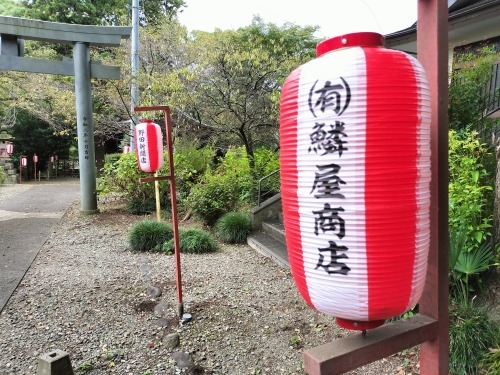 ��c�����U���b�ߐ{�^��̏o�g�n��c���Ɖ��B�X����c���h�Ղ��U����