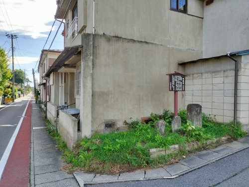 ���͂��U���b��C�푈�ŎF���Ȃǐ��R���N���������[�g�����ǂ��Ă݂�