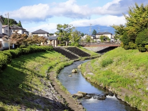 ���͂��U���b��C�푈�ŎF���Ȃǐ��R���N���������[�g�����ǂ��Ă݂�