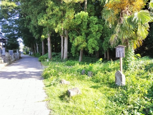 ���͂��U���b��C�푈�ŎF���Ȃǐ��R���N���������[�g�����ǂ��Ă݂�