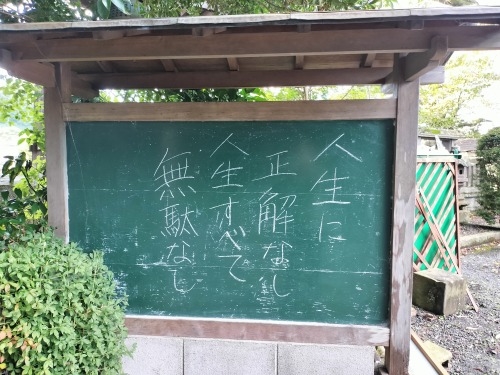 ���͂��U���b��C�푈�ŎF���Ȃǐ��R���N���������[�g�����ǂ��Ă݂�