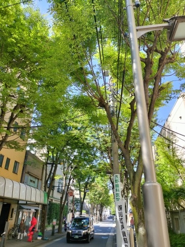 �������͂��U���b�s�^�S���X�C�b�`�J�t�F�Ɛ[��1�{�ɑ����ǂ�H�ׂ�