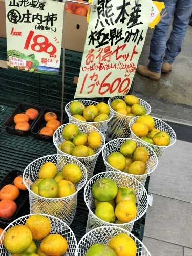 ���������U���b