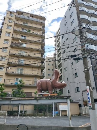 ���������U���b