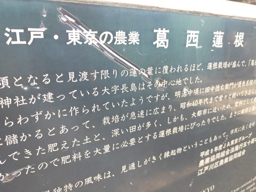 ���������U���b