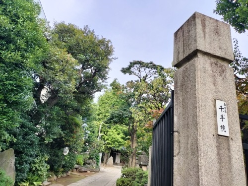 �g�����U��